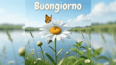 Buongiorno