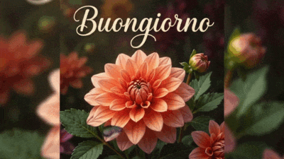 Buongiorno