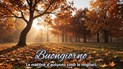 Buongiorno