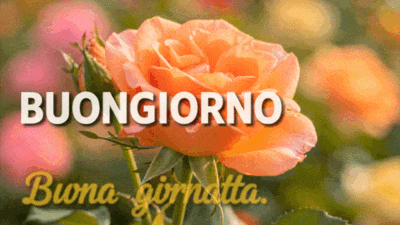 Buongiorno