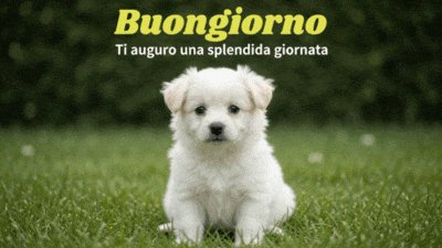 Buongiorno
