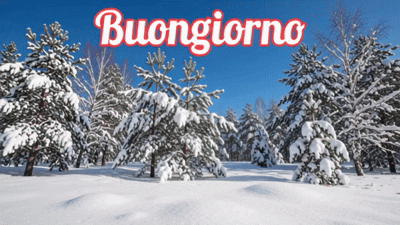 Buongiorno