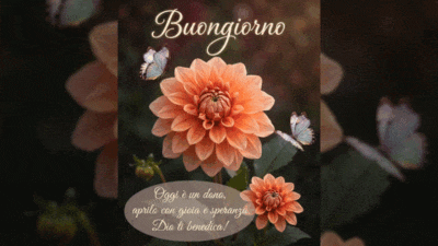 Buongiorno