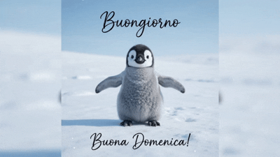 Buongiorno