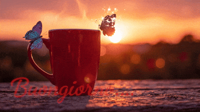 Buongiorno